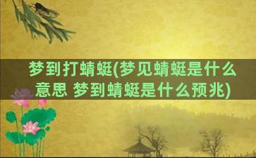 梦到打蜻蜓(梦见蜻蜓是什么意思 梦到蜻蜓是什么预兆)